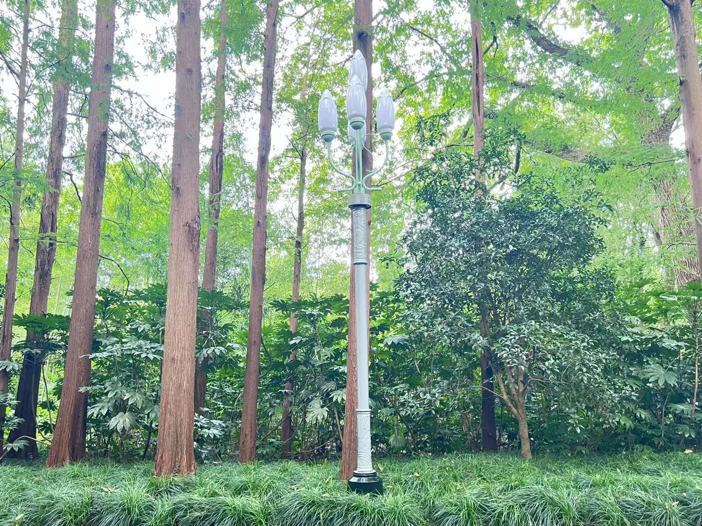 浙江西子賓館路燈
